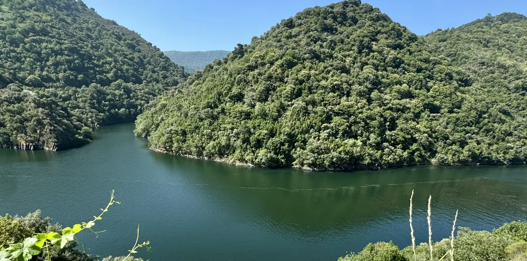 Viñedos en bancales sobre el cañón del Sil