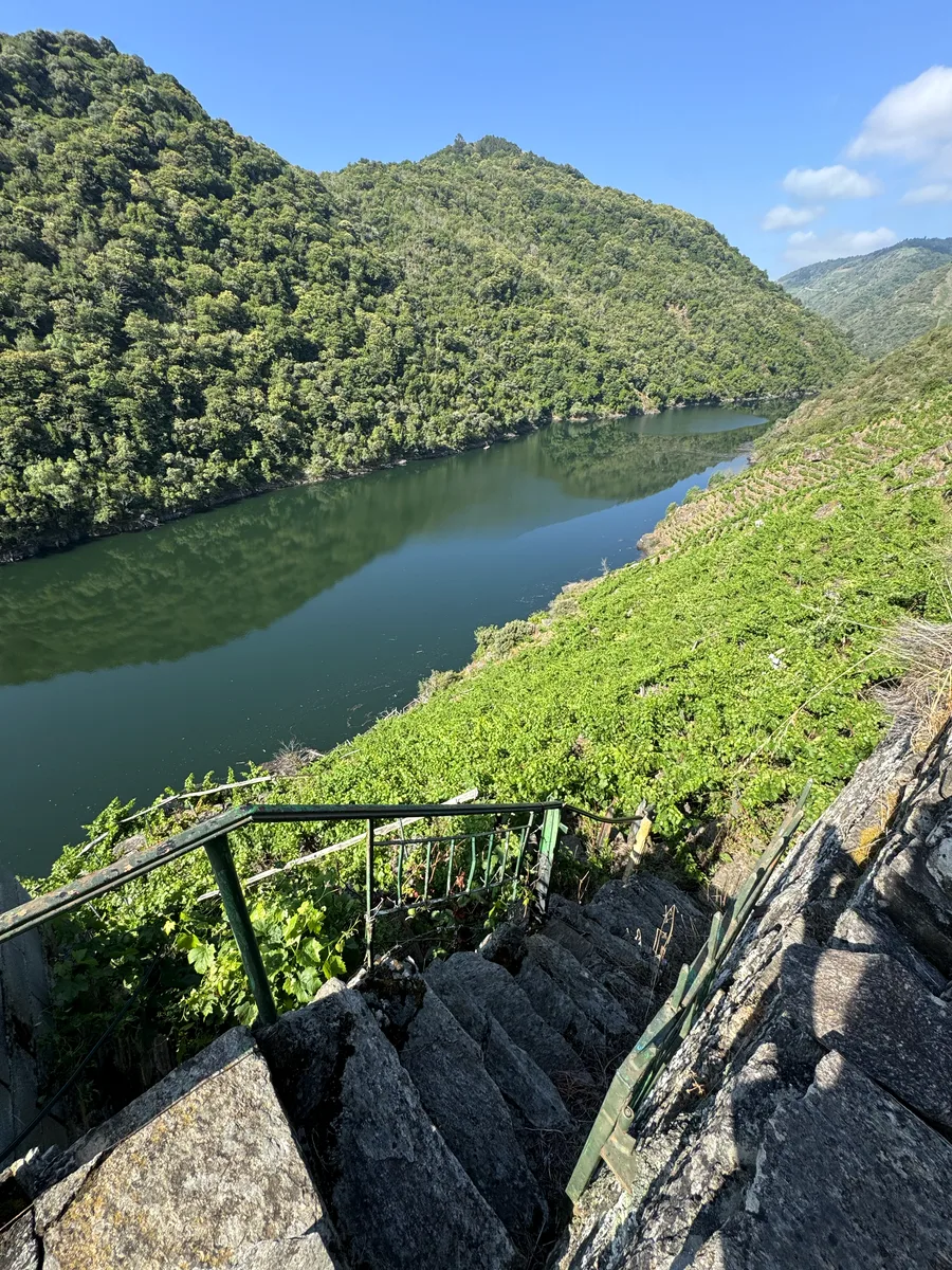 Escaleras de piedra entre bancales en Doade